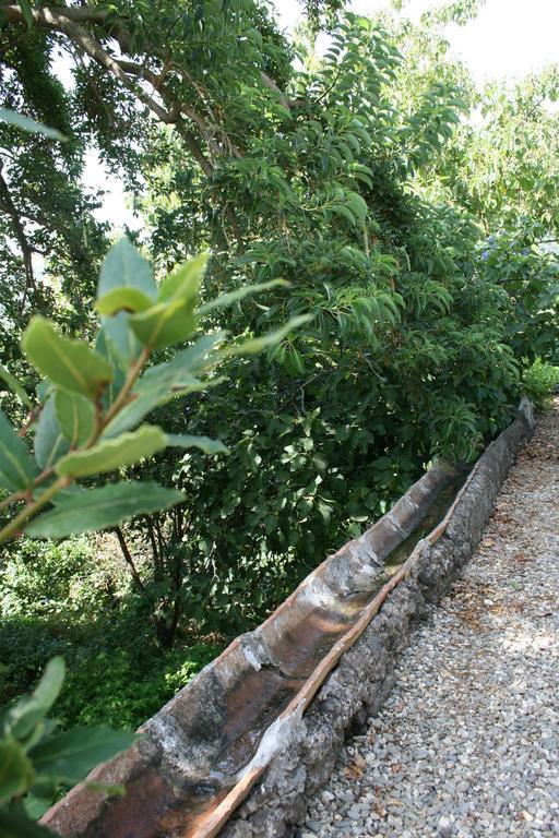 Villa Dei Leoni Santa Tecla Kültér fotó